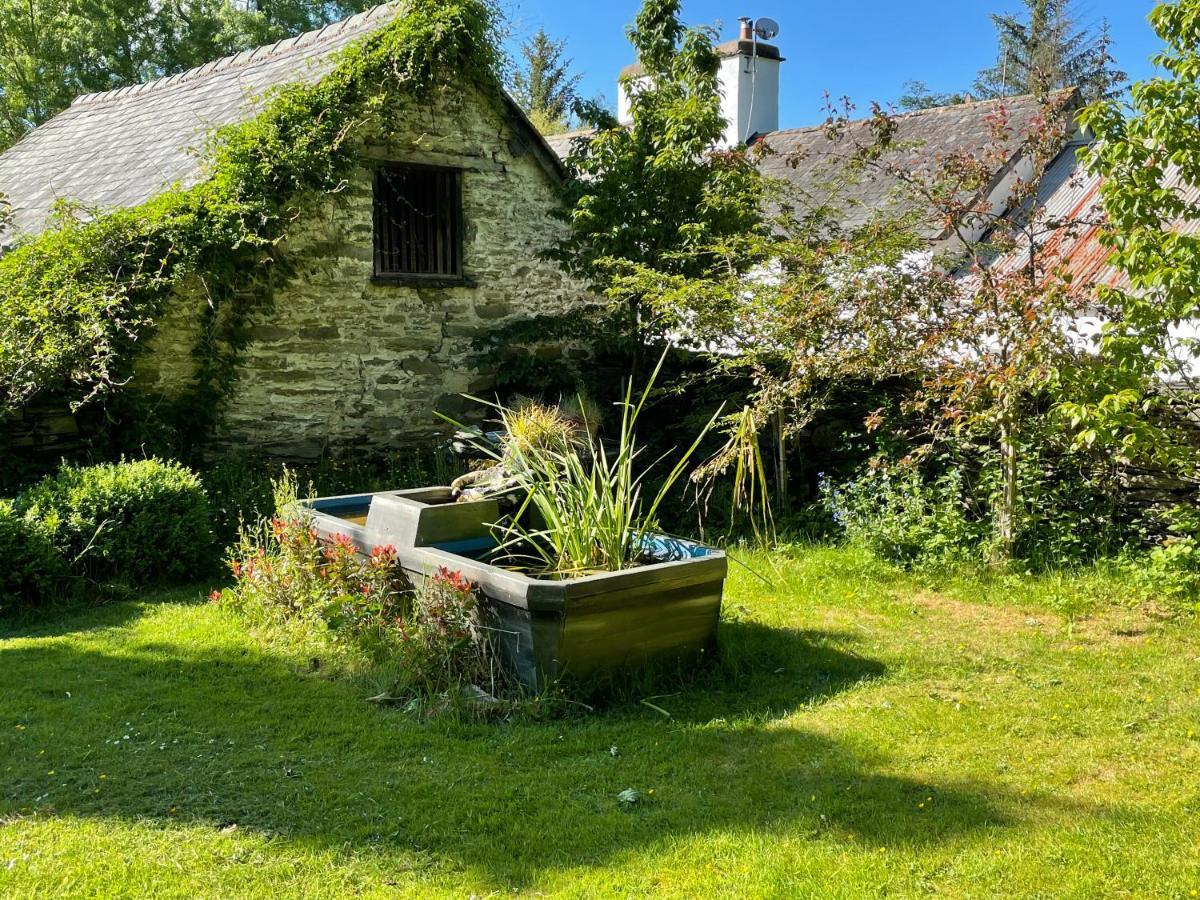 Milkwood Cottage Corwen Exteriér fotografie